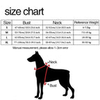 FreeMotion - Personalised Y-Shape Dog Harness