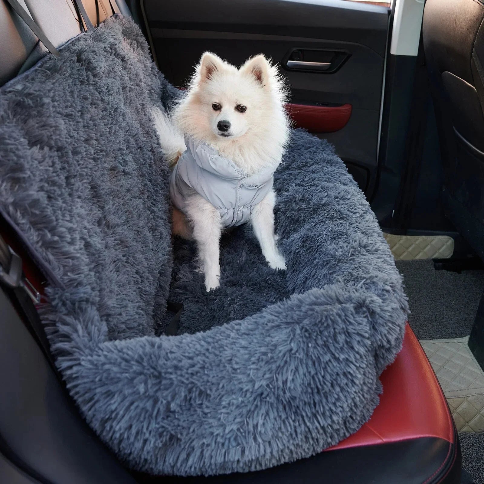 PawEase Travel Mat