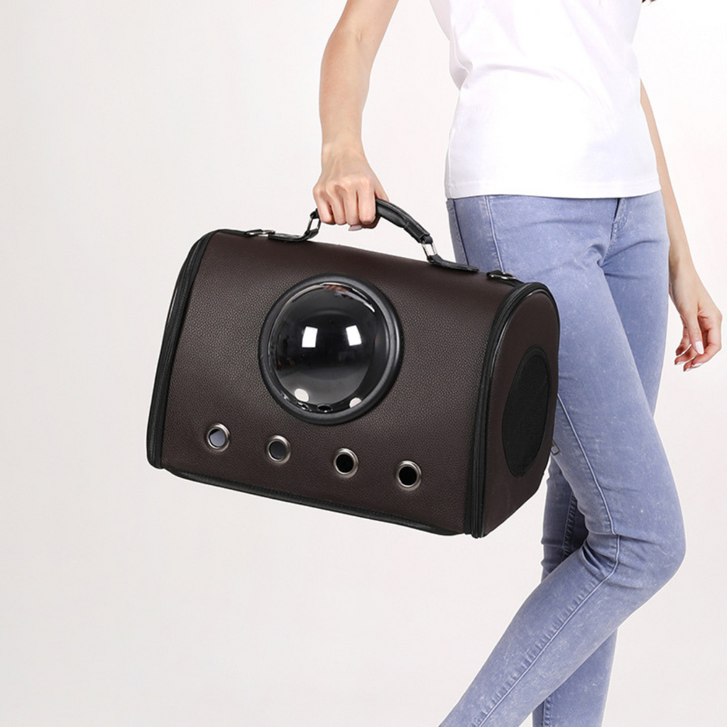 Airplane and car travel bag for pets