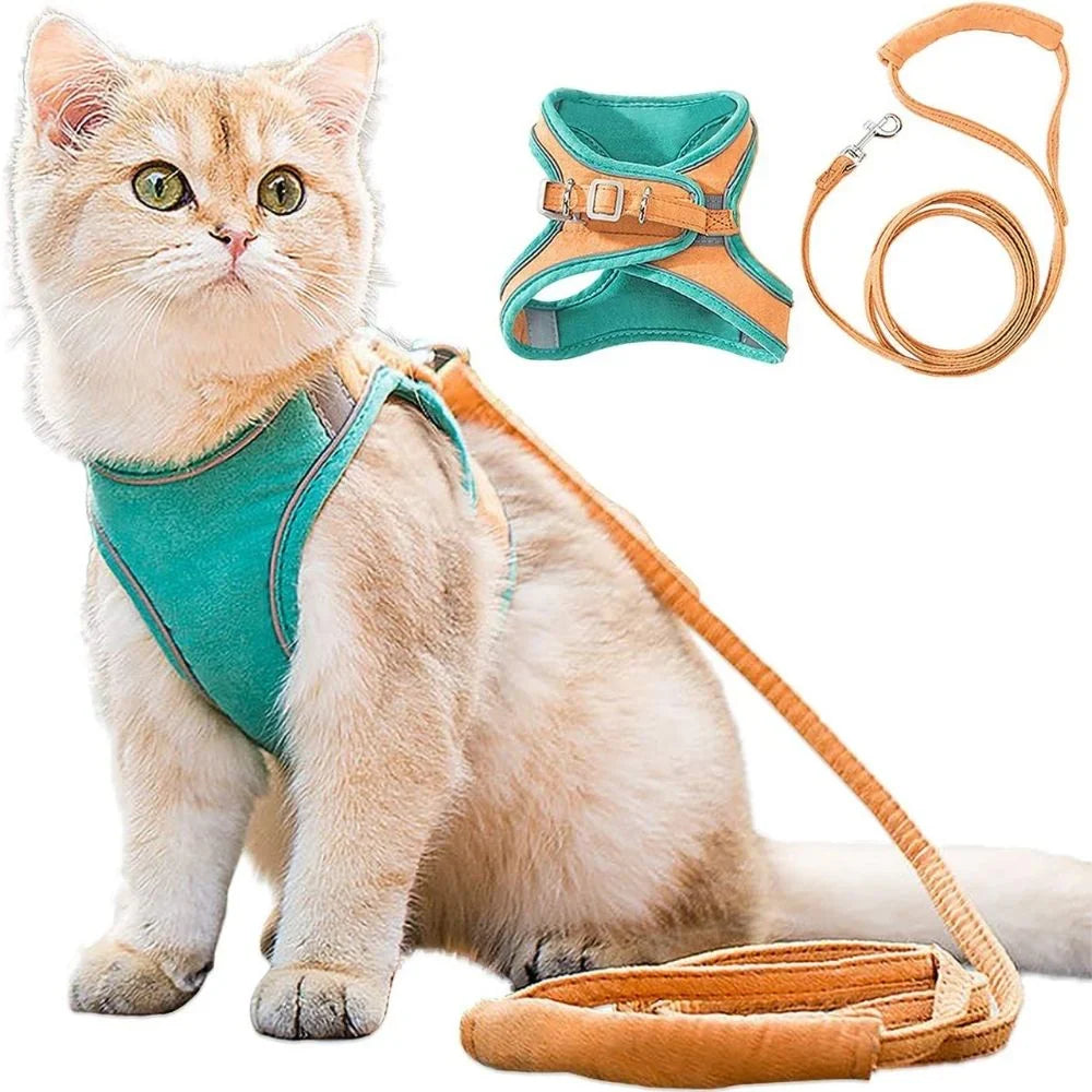 Cat Harness – Safe and Comfortable for Outdoor Adventures