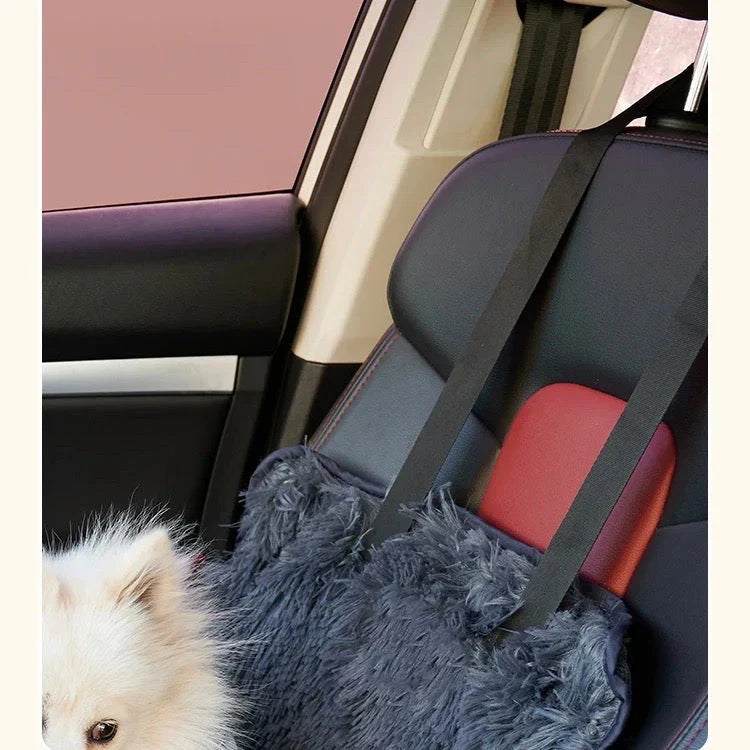 PawEase Travel Mat