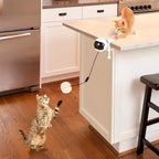 Lifting Ball Electric Motion Cat Toy