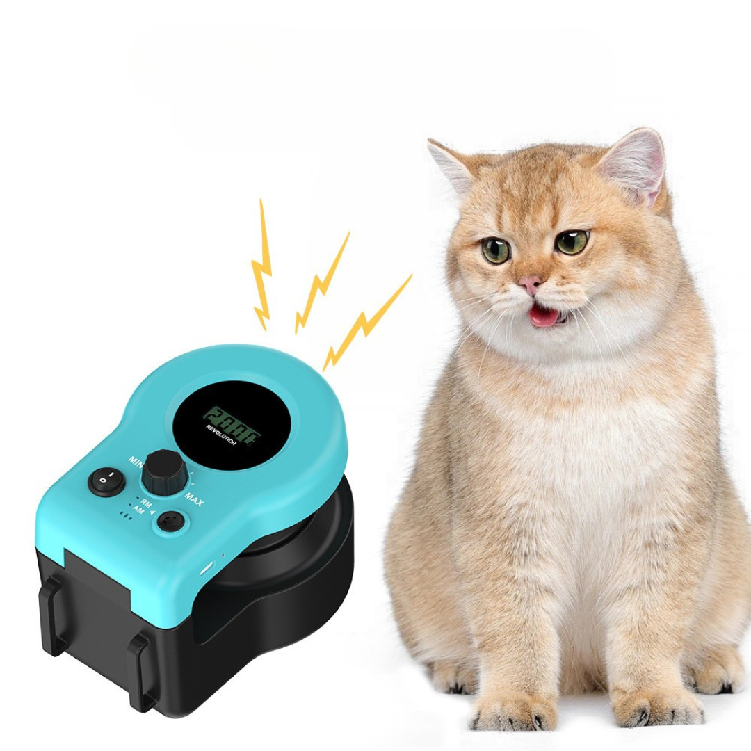 String Hunt Cat Toy