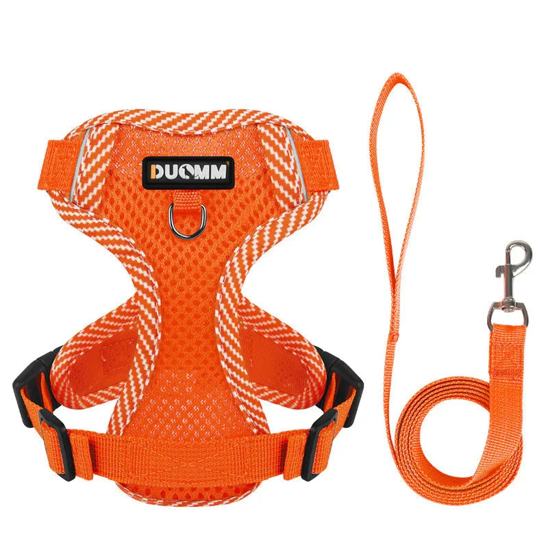 Reflective Dog Harness and Leash Set for Small Dogs – SafeStep