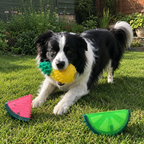 Cooling Fruit dog chew toy