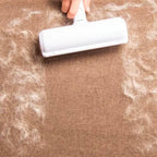 2-in-1 Pet Hair Remover - CleanSweep