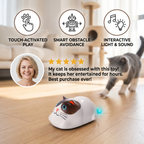 Touch-Activated Smart Cat Robot Toy