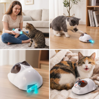 Touch-Activated Smart Cat Robot Toy