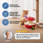3-in-1 Apple-Shaped Cat Toy – Interactive Feather & Ball Toy