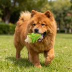 Durable Squeaky Latex Farm Animal Dog Toy