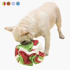 Interactive Sniffing Ball for Dogs - SniffJoy