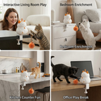 Automatic Cat Play Ball with Lifting Motion – Interactive Enrichment Toy