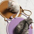 Cat Scratching Toy Carpet