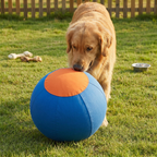 Durable training ball with cover for dogs