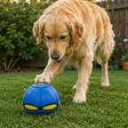 Interactive Flying Fetch Dog Ball