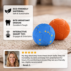 Eco-Friendly Bite-Resistant Smart Interactive Automatic Dog Ball