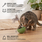 Teeth Cleaning Catnip Tumbler Cat Toy – Interactive Feather Teaser with Bell