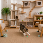 Automatic Cat Chasing Track Toy