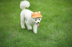 PawShade Pet Cap – Round Brim Style