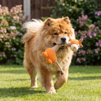 Durable Cotton Rope Teeth Cleaning Plush Dog Toy with Squeaker