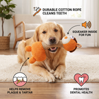 Durable Cotton Rope Teeth Cleaning Plush Dog Toy with Squeaker