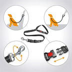 Dog Car Seat Belt