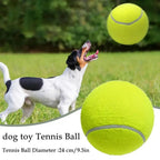 Giant Tennis Ball For Dogs