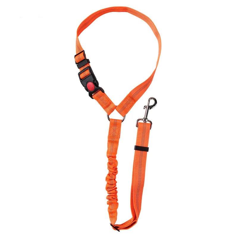 Dog Car Seat Belt