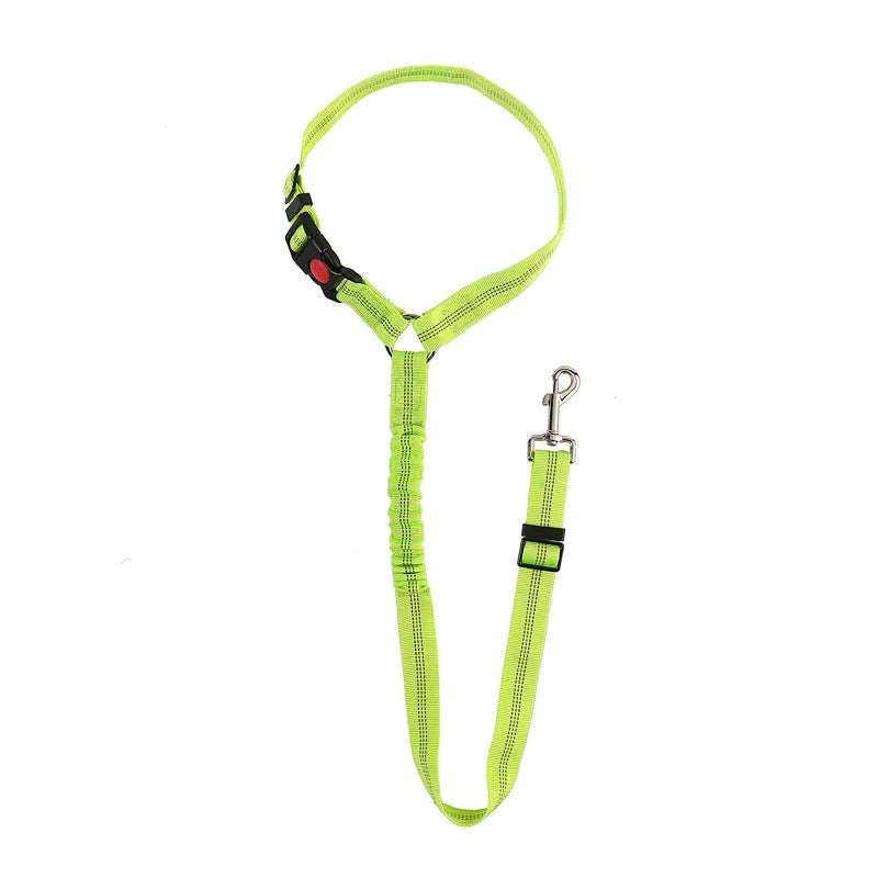 Dog Car Seat Belt