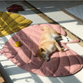 Chill Paw Mat