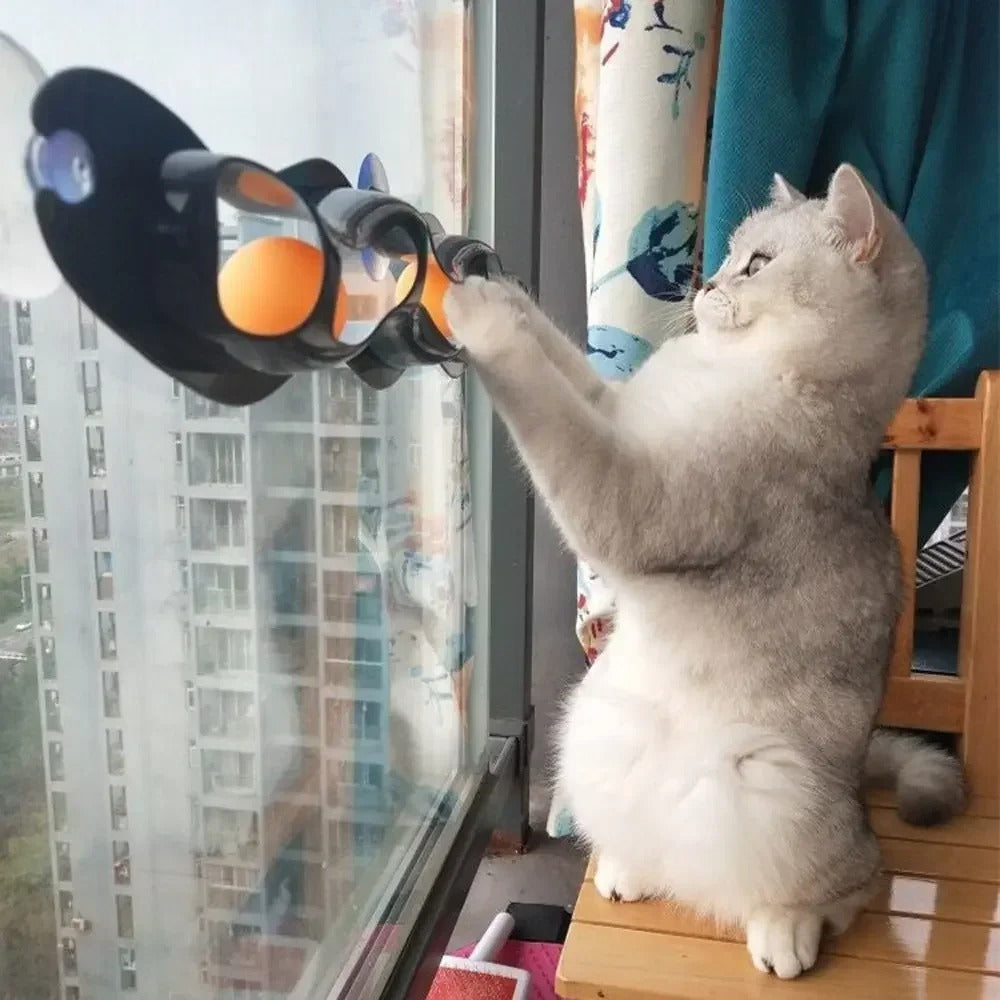Window Table Tennis Cat Toy