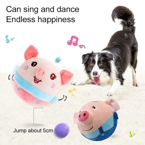 DogRover: Unlimited Fun for Your Dog
