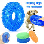Dog Chew Toy with Thorns and Hooks