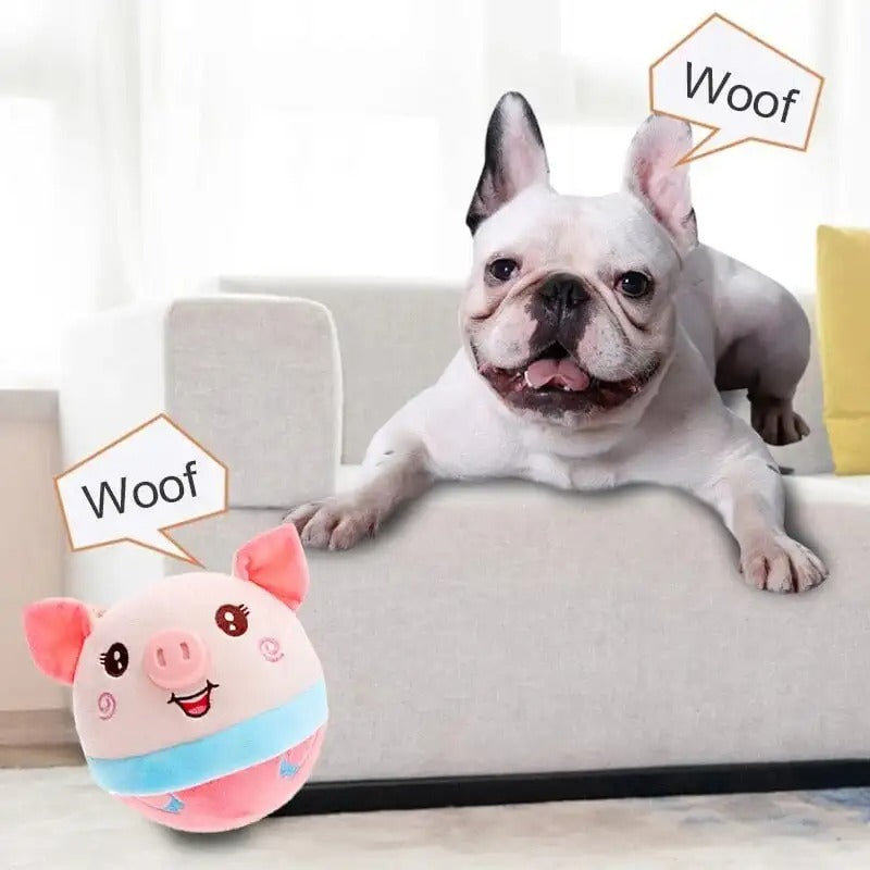 DogRover: Unlimited Fun for Your Dog