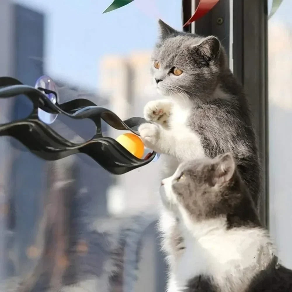 Window Table Tennis Cat Toy