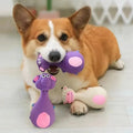 Squeaky Interactive Throw Toy