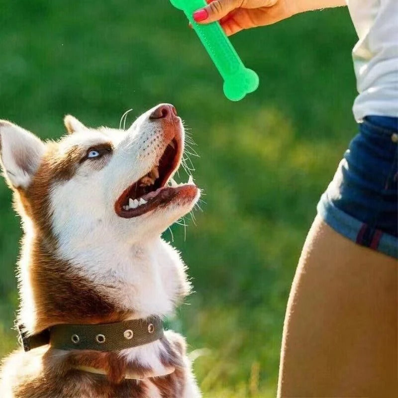 Rubber Bone Toy for Aggressive Chewers