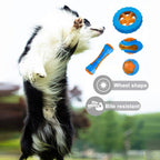 Rubber Dog Toys – Durable, Fun, and Safe for Your Dog