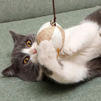 Colorful Wand Cat Toy with Wooden Handle