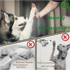 Paw Perfect Scratch & Groom