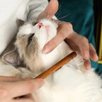 Premium Cat Comb: Stainless Steel Grooming for a Healthy Coat