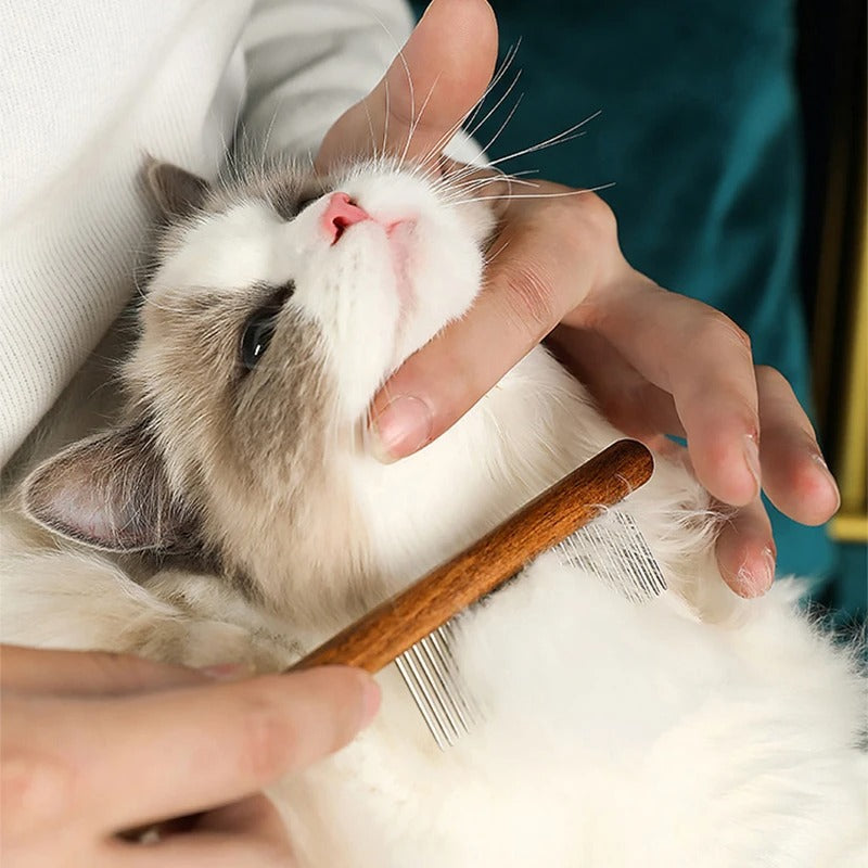 Premium Cat Comb: Stainless Steel Grooming for a Healthy Coat