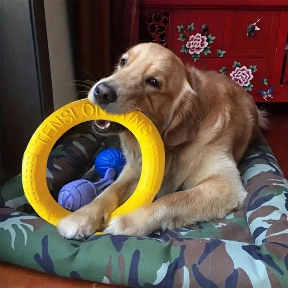 Flying Disc Training Ring Puller