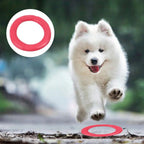 Floating Water Dog Toy Training Ring