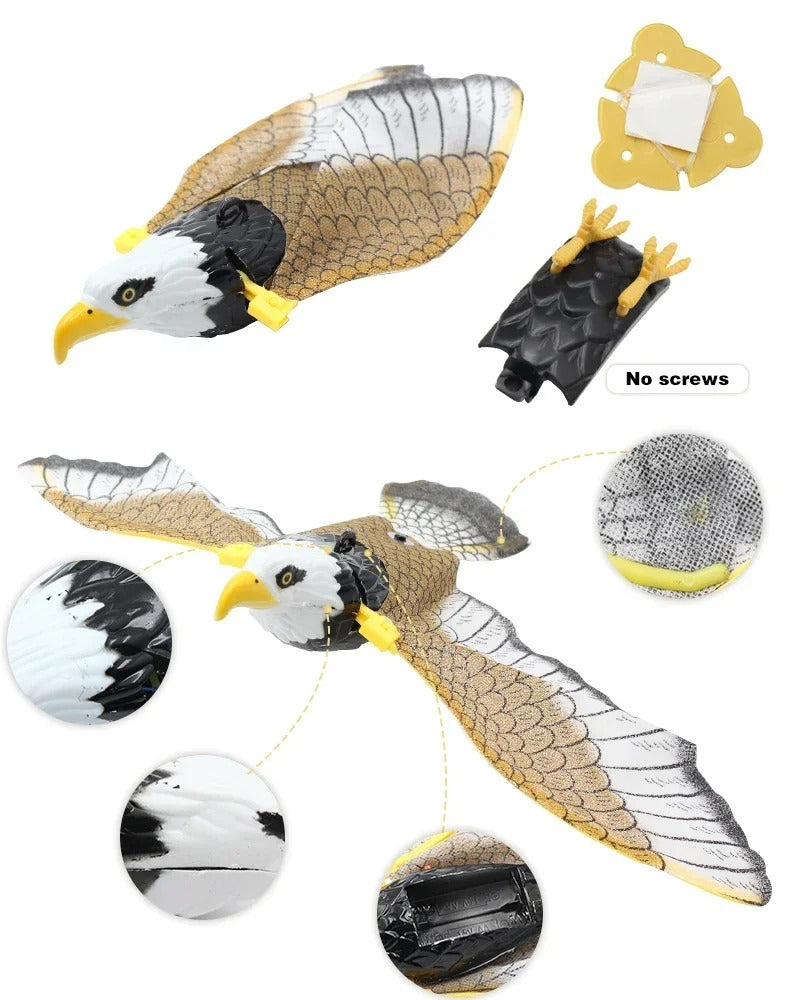 Eagle Flying Bird Cat Toy