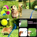 FetchStick – The Ultimate Throwing Stick for Dogs!