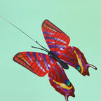 Butterfly Toy For Cats