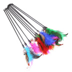Cat Feather Toys (5-Pack) – PlayFeather