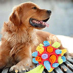 PlayPaw Interactive Pet Toy
