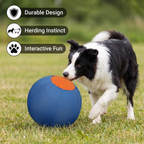 Inflatable Bite Resistant Herding Ball for Dogs – Durable Interactive Push & Chase Toy